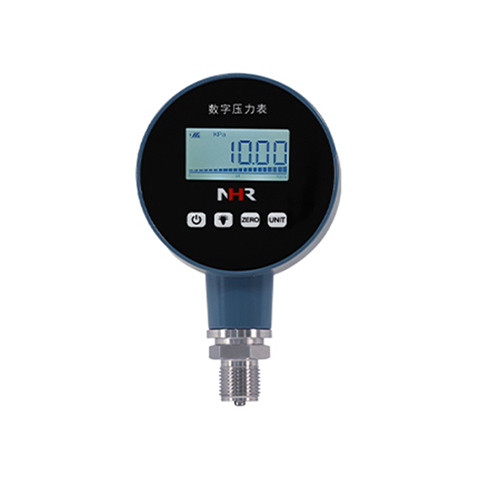 NHR-DP10系列智能數(shù)字壓力表
